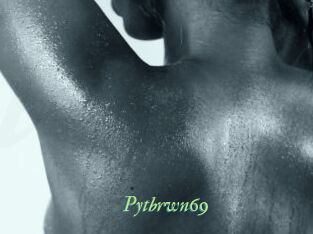 Pytbrwn69