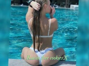 Raisin_free_cookiesX