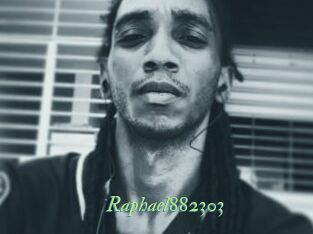 Raphael882303