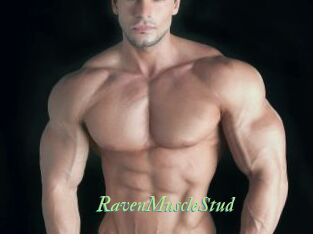 RavenMuscleStud
