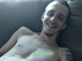 RodRabbit