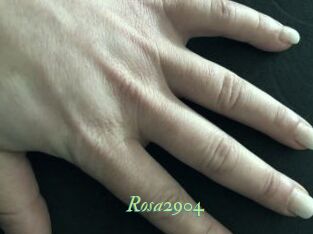 Rosa2904