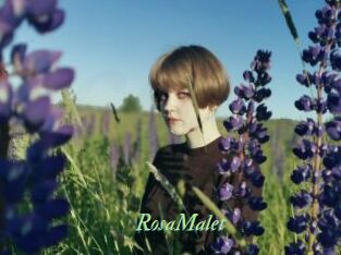 RosaMalet