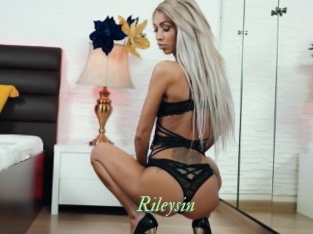 rileysin Tel Coquin