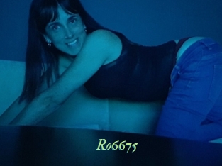 ro6675 Tel Coquin