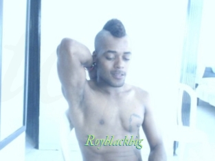 royblackbig Tel Coquin