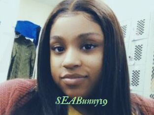 SEABunny19