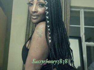 Sassyeboney3838