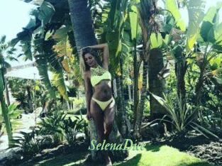 SelenaDice