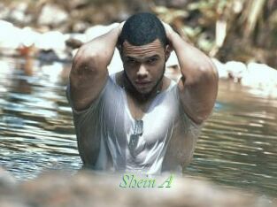 Shein_A