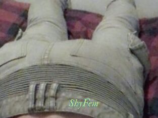 ShyFem