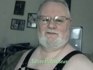 SilverPApaBear