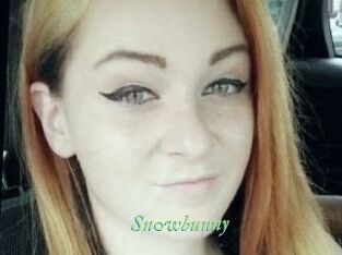 Sn0wbunny