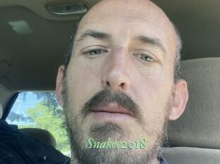Snakec2018