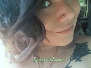 SparrowSoars