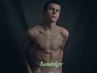 Samledger