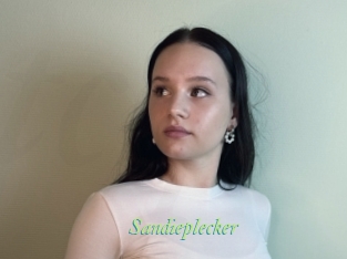 sandieplecker Tel Coquin