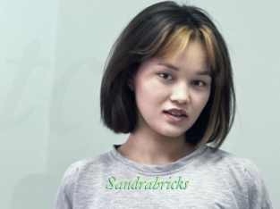 Sandrabricks