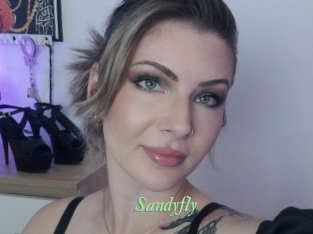 Sandyfly