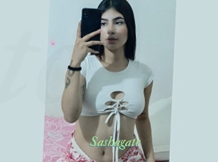 Sashagate