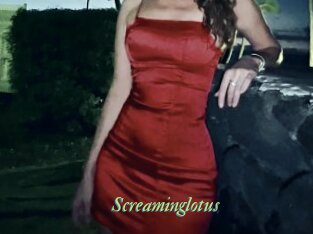 Screaminglotus