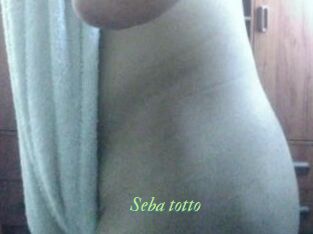 Seba_totto