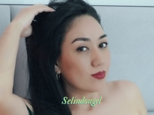 Selindongel