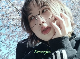 Seosoojin