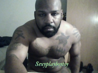 Sexyplayboytoy