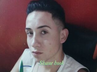 Shane_hook