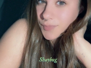 Shaybug
