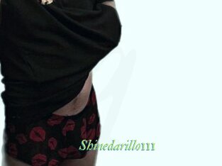 Shinedarillo111