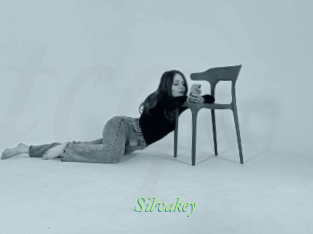 Silvakey
