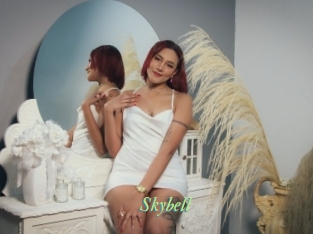 Skybell