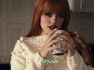 Skynabi