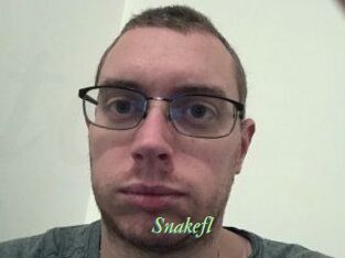 Snakefl