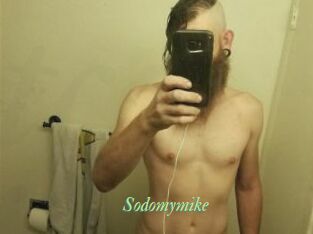 Sodomymike