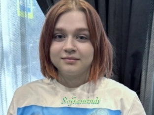 Sofiaminds