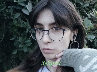 Sofigroot