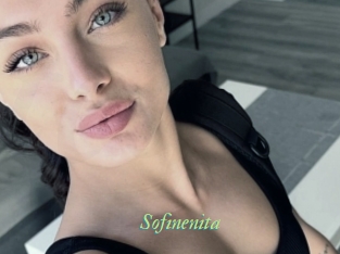 Sofinenita