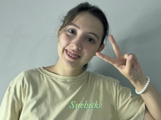 Suehicks