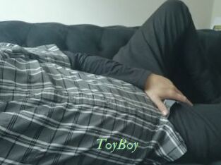 T0yB0y