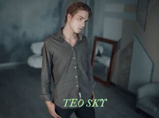 TEO_SKY