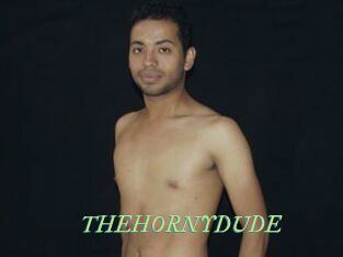 THEHORNYDUDE