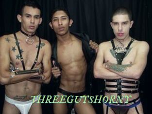 THREEGUYSHORNY Tel Coquin