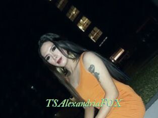 TSAlexandriaFOX
