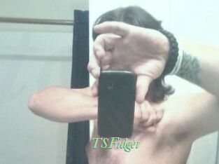 TSFidget