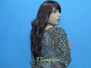TSimitator