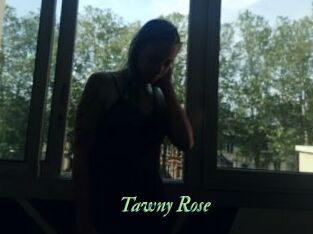 Tawny_Rose