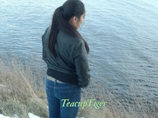 TeacupTiger Tel Coquin
